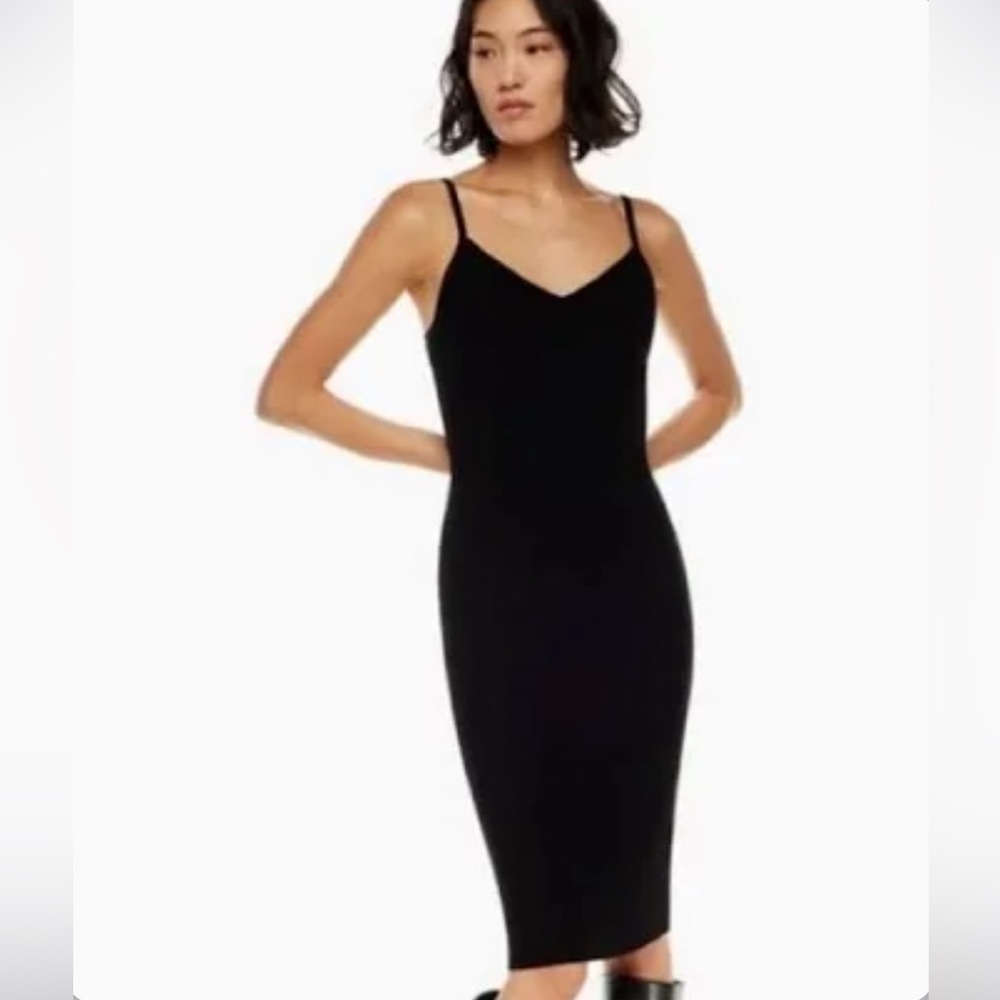 Aritzia Wilfred WALTZ DRESS